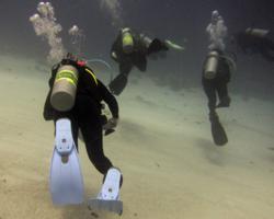 Reef 2000 - Divers